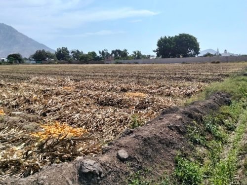 1 (1) (1) (1) (1) (1) (1) (1) (1) (1) (1) (1) (1) (1) (1) (1) (1) (1) (1) (1) (1) (1) (1) (1) (1) (1) (1) (1) (1) (1) (1) (1) (1)