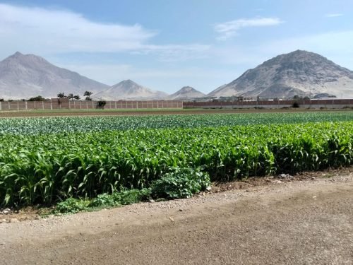 2 (1) (1) (1) (1) (1) (1) (1) (1) (1) (1) (1) (1) (1) (1) (1) (1) (1) (1) (1) (1) (1) (1) (1) (1) (1) (1) (1) (1) (1) (1) (1) (1)