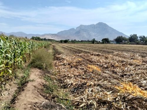 2 (1) (1) (1) (1) (1) (1) (1) (1) (1) (1) (1) (1) (1) (1) (1) (1) (1) (1) (1) (1) (1) (1) (1) (1) (1) (1) (1) (1) (1) (1) (1) (1) (1)