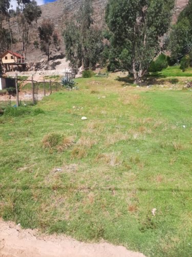 6 (1) (1) (1) (1) (1) (1) (1) (1) (1) (1) (1) (1) (1) (1) (1)