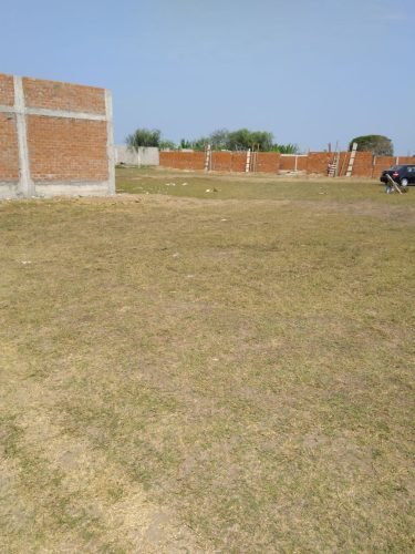 TERRENO2